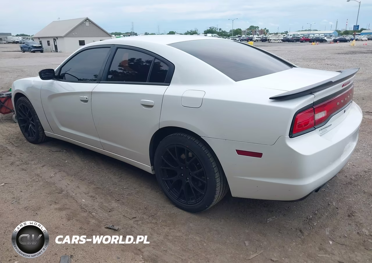 2014 Dodge Charger Police VIN:2C3CDXAT9EH348471 - 3