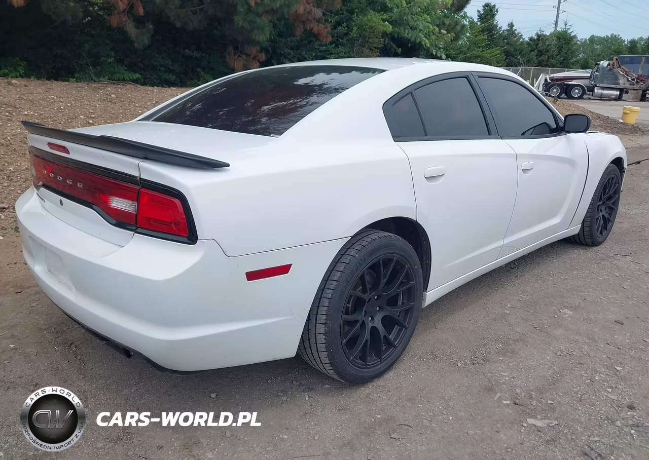 2014 Dodge Charger Police VIN:2C3CDXAT9EH348471 - 4