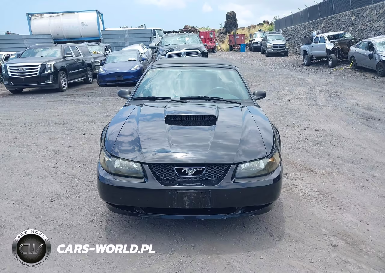 2001 Ford Mustang Gt VIN:1FAFP45X31F246967 - 12