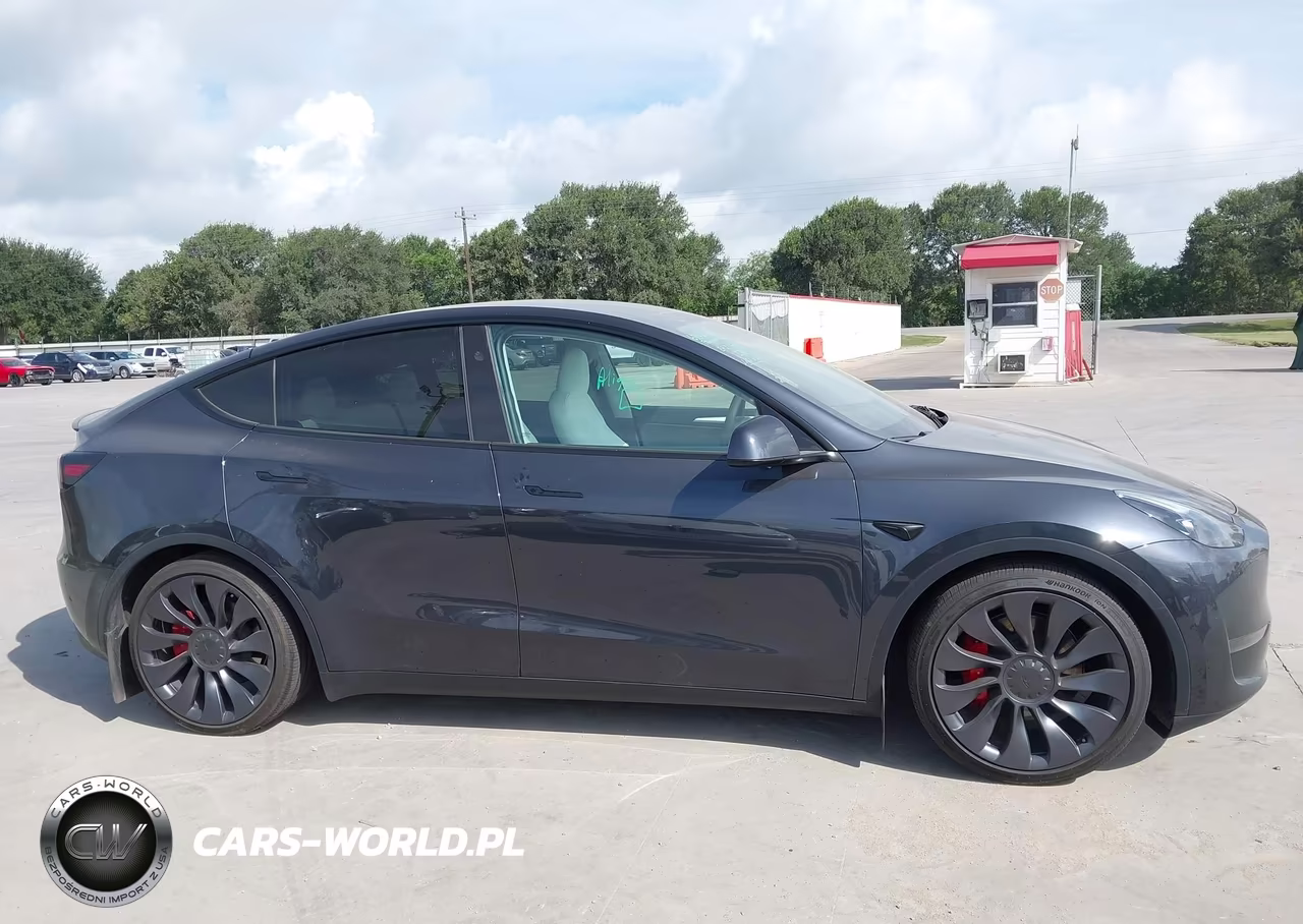 2024 Tesla Model Y Performance Dual Motor All-Wheel Drive VIN:7SAYGDEF5RA316740 - 12