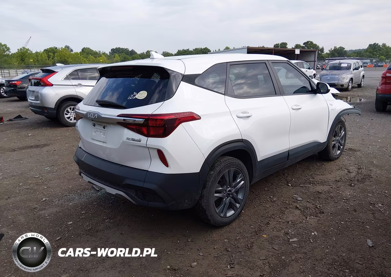 2022 Kia Seltos Lx VIN:KNDEPCAAXN7236731 - 4