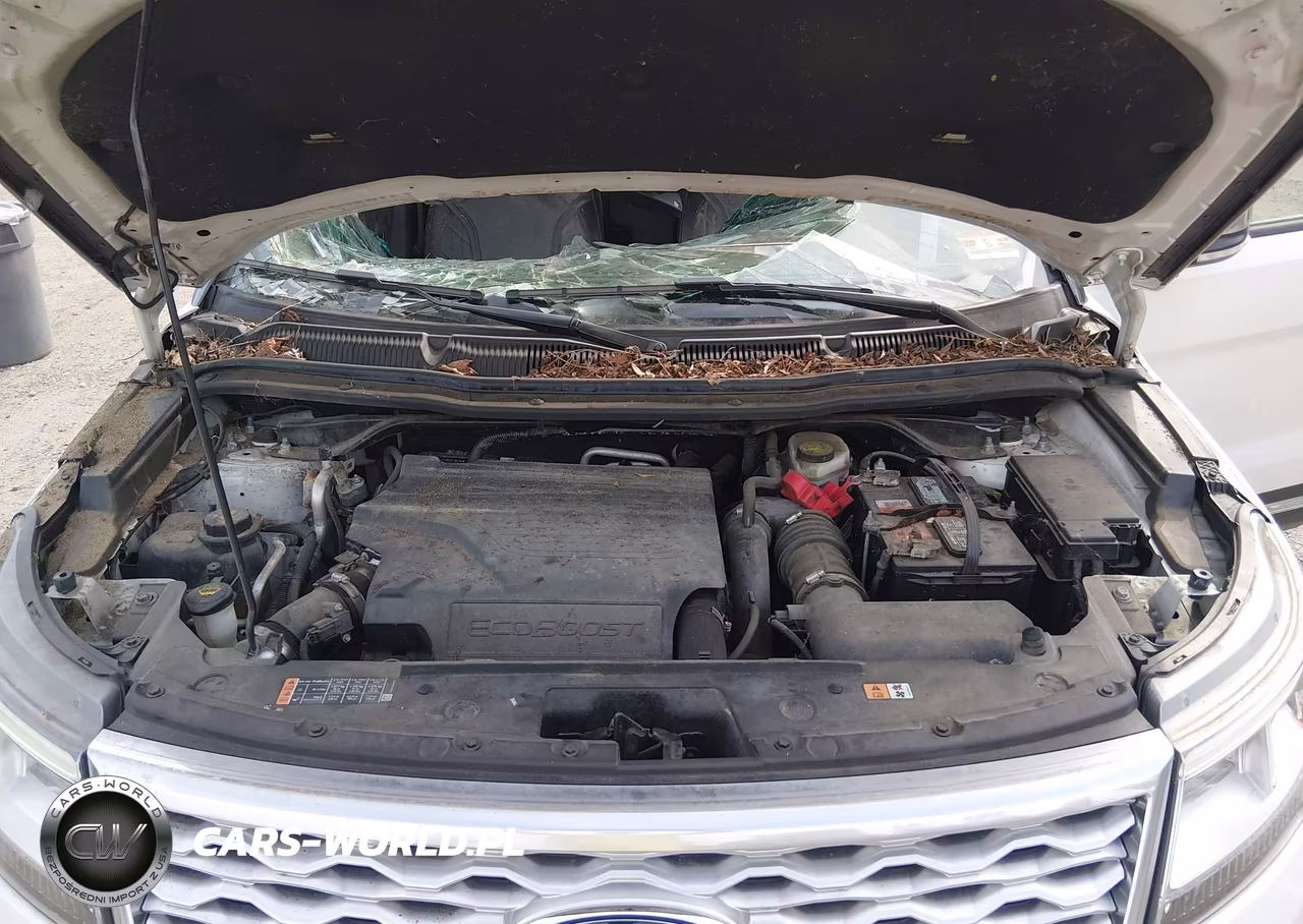 2017 Ford Explorer Platinum VIN:1FM5K8HT5HGB58586 - 10