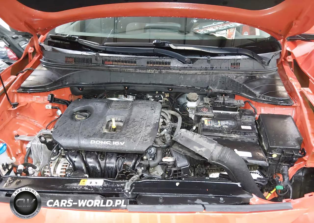 2019 Hyundai Kona Sel VIN:KM8K2CAA9KU338872 - 10