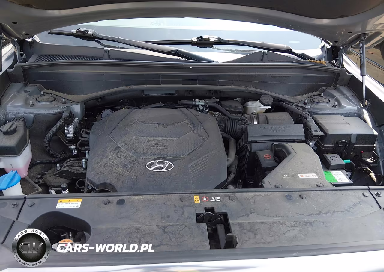 2023 Hyundai Palisade Calligraphy VIN:KM8R74GE3PU558516 - 10