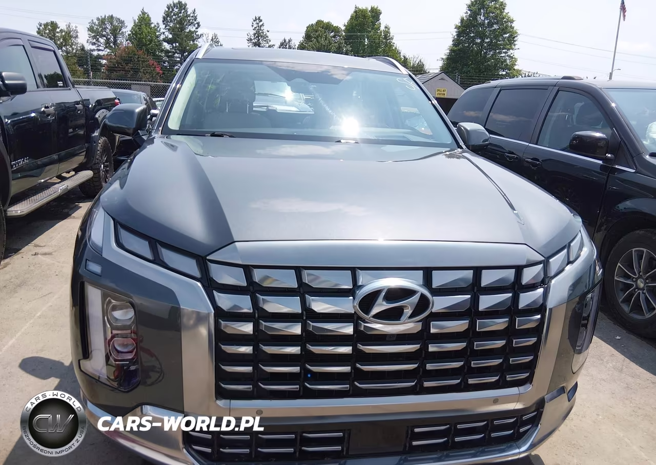 2023 Hyundai Palisade Calligraphy VIN:KM8R74GE3PU558516 - 12