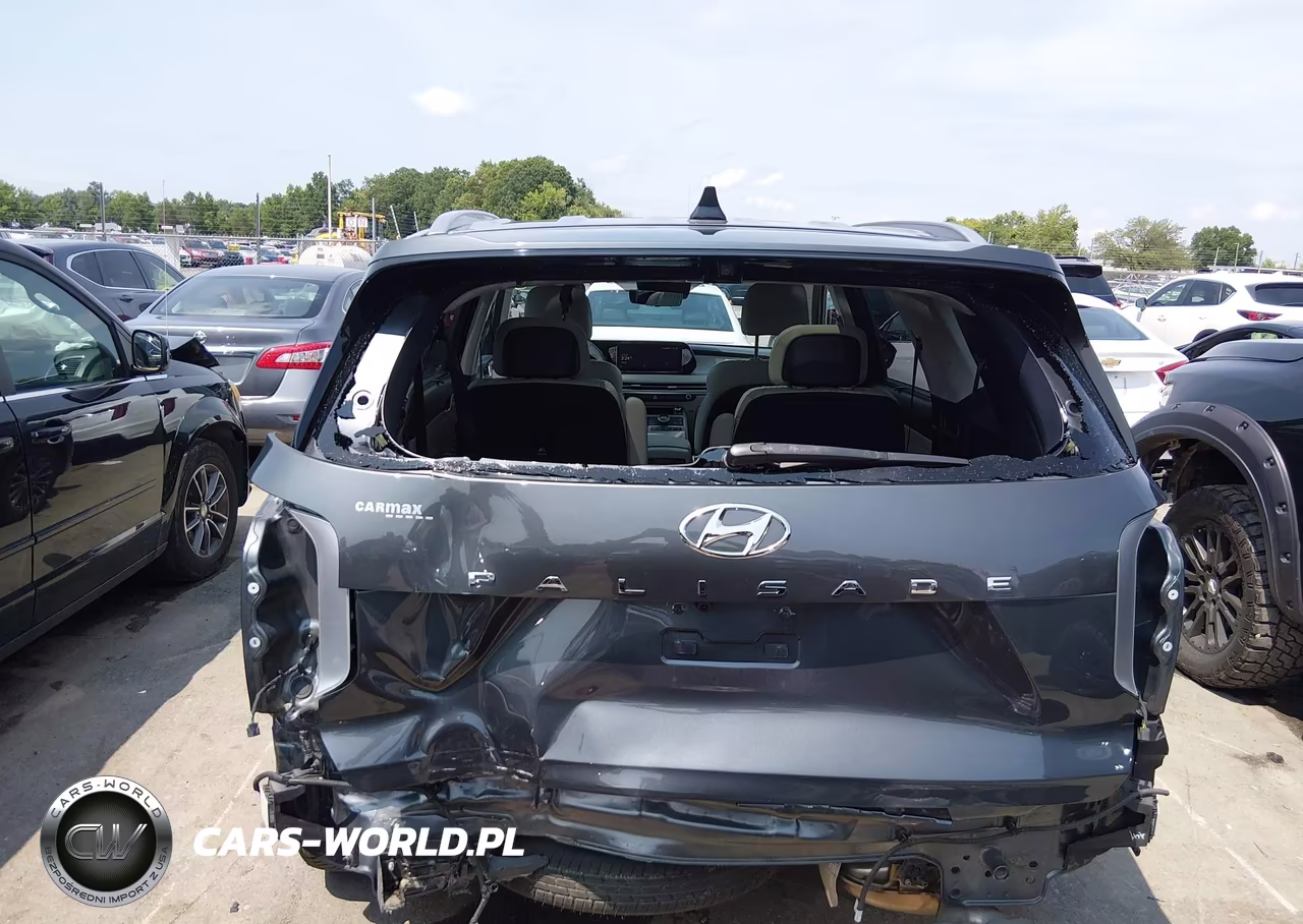 2023 Hyundai Palisade Calligraphy VIN:KM8R74GE3PU558516 - 6