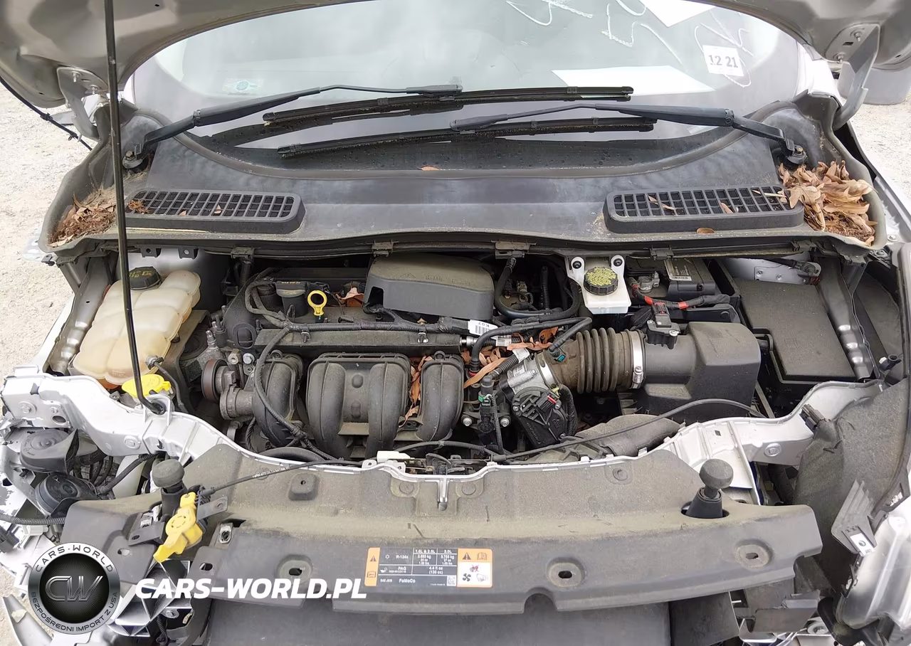 2016 Ford Escape S VIN:1FMCU0F79GUA35012 - 10