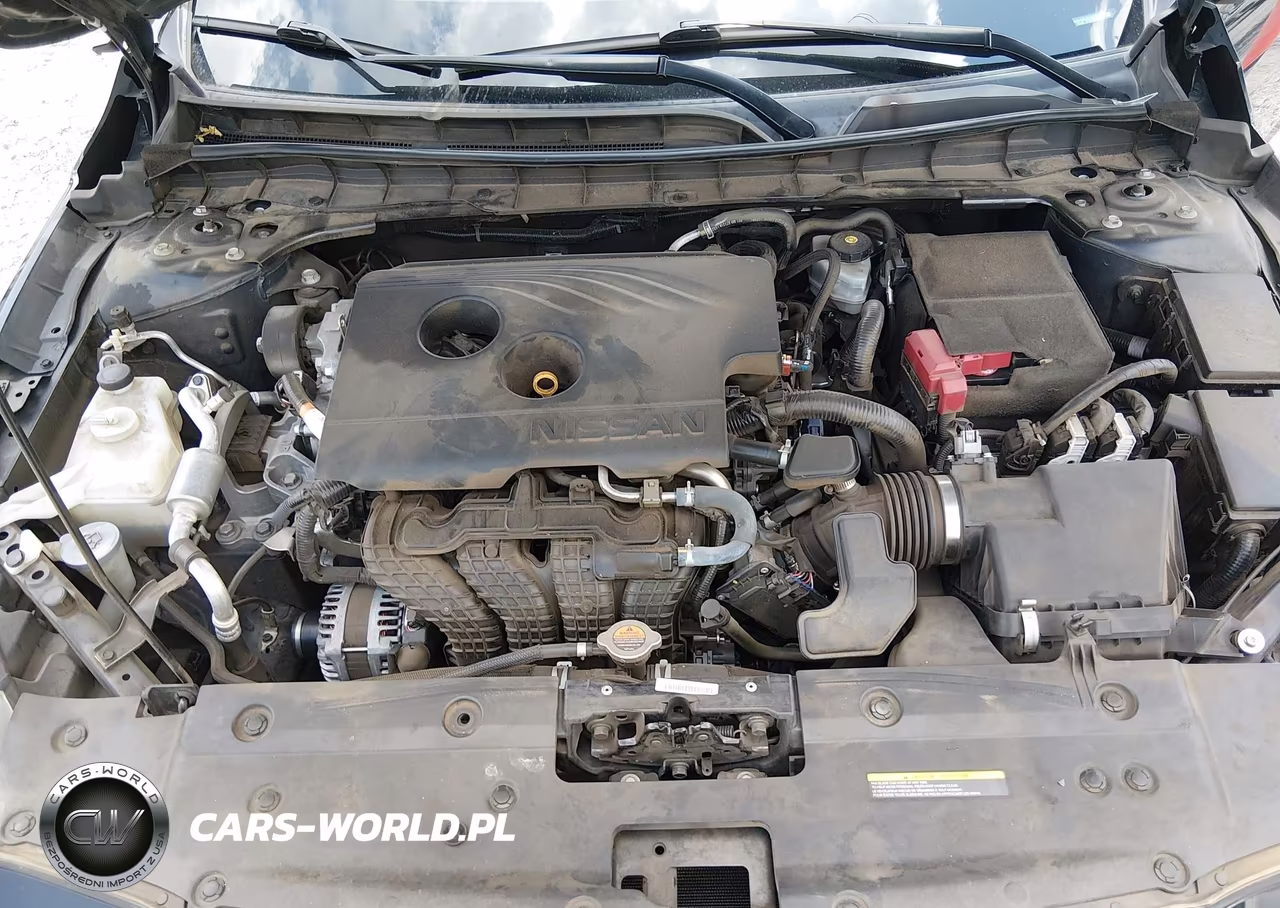 2019 Nissan Altima 2.5 Platinum VIN:1N4BL4FV5KC207193 - 10