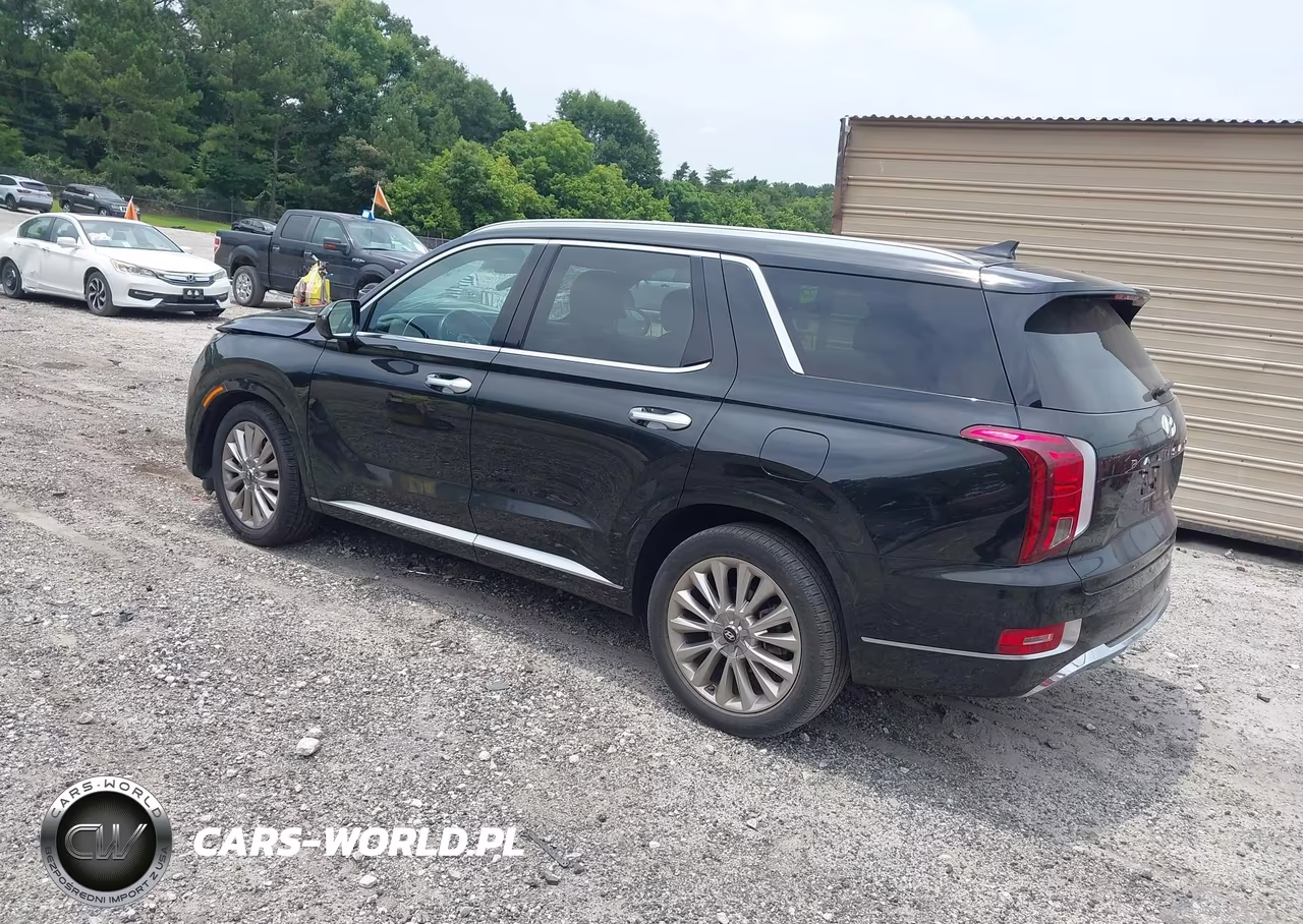 2020 Hyundai Palisade Limited VIN:KM8R54HE6LU159159 - 3