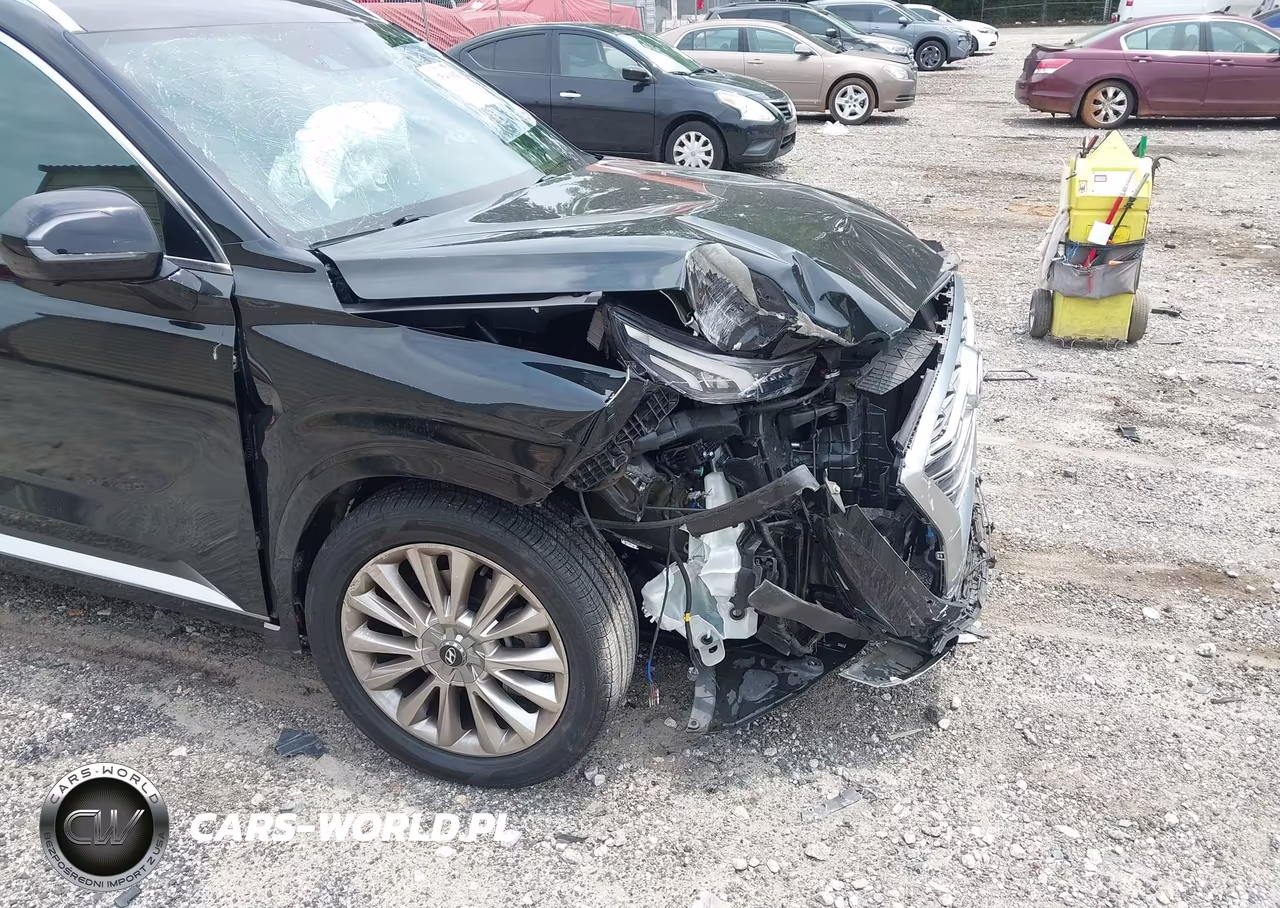 2020 Hyundai Palisade Limited VIN:KM8R54HE6LU159159 - 6