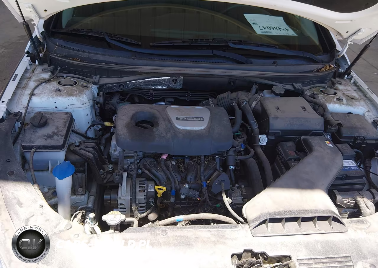 2019 Hyundai Sonata Eco VIN:5NPE24AA4KH802295 - 10