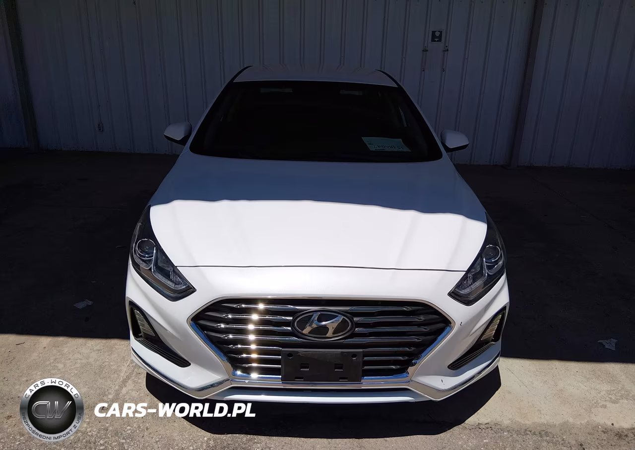 2019 Hyundai Sonata Eco VIN:5NPE24AA4KH802295 - 13
