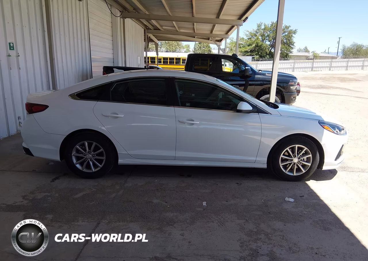 2019 Hyundai Sonata Eco VIN:5NPE24AA4KH802295 - 14