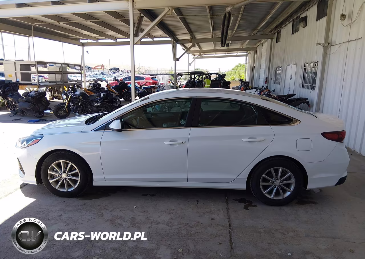 2019 Hyundai Sonata Eco VIN:5NPE24AA4KH802295 - 15