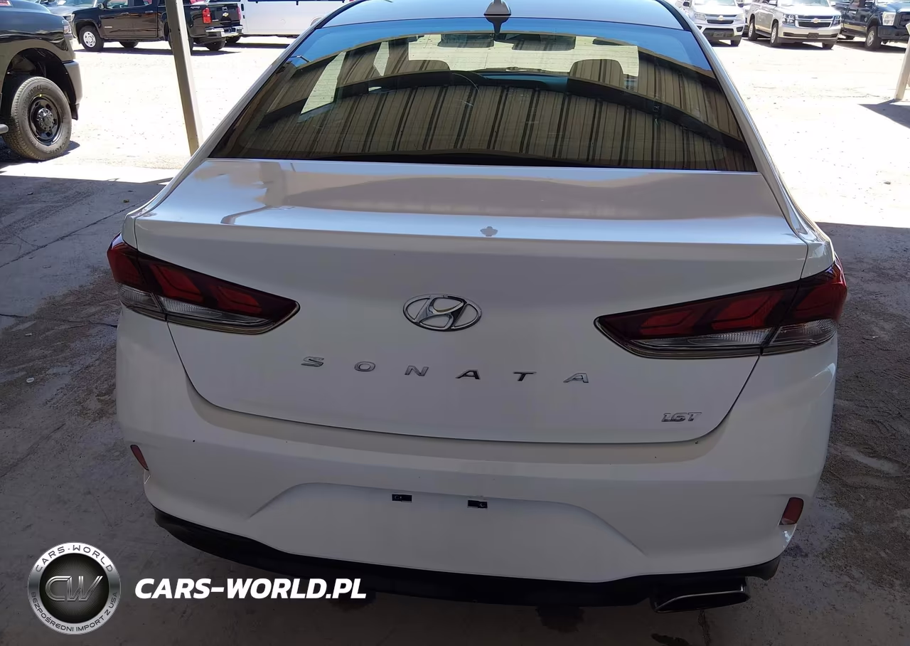 2019 Hyundai Sonata Eco VIN:5NPE24AA4KH802295 - 17