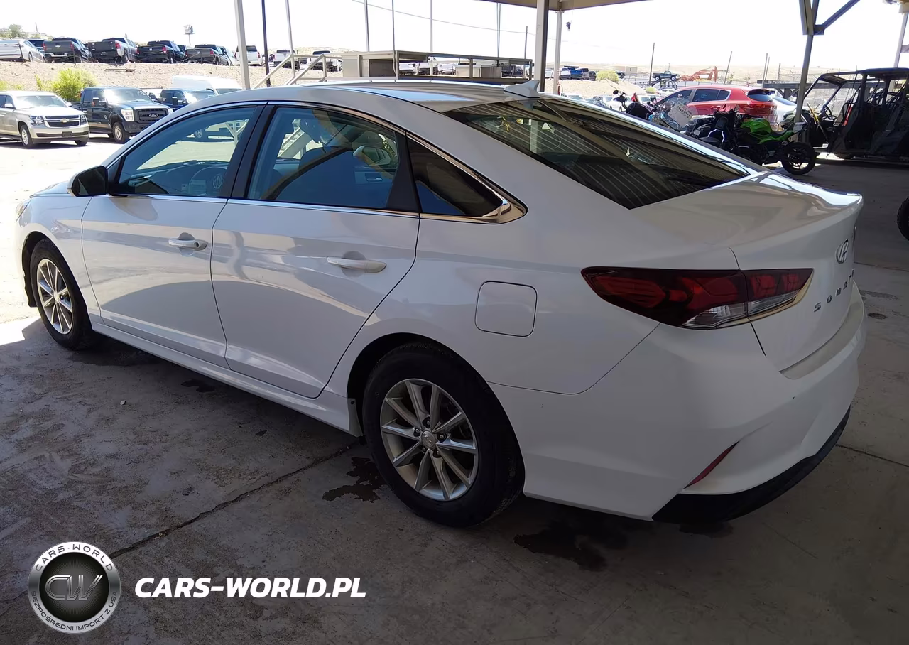 2019 Hyundai Sonata Eco VIN:5NPE24AA4KH802295 - 3