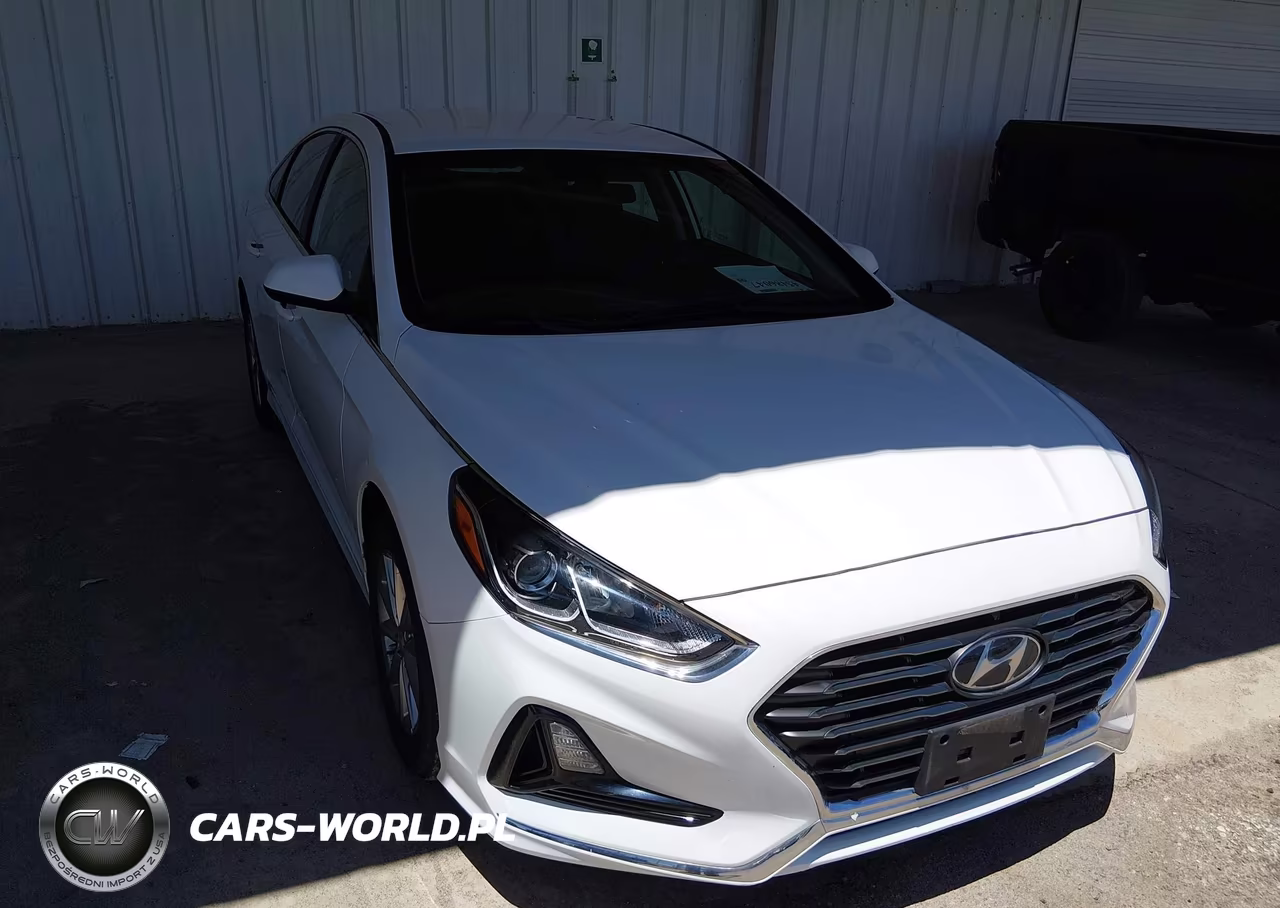 2019 Hyundai Sonata Eco VIN:5NPE24AA4KH802295 - 6