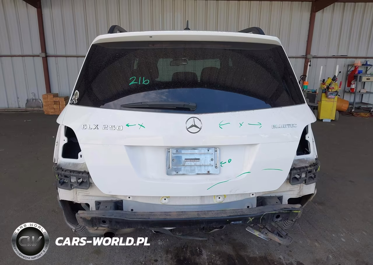 2015 Mercedes-Benz Glk 250 Bluetec 4Matic VIN:WDCGG0EB8FG399027 - 6