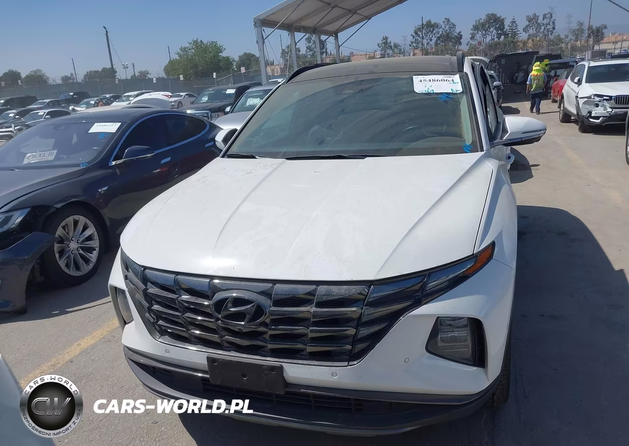 2023 Hyundai Tucson Limited VIN:5NMJECAEXPH268260 - 12