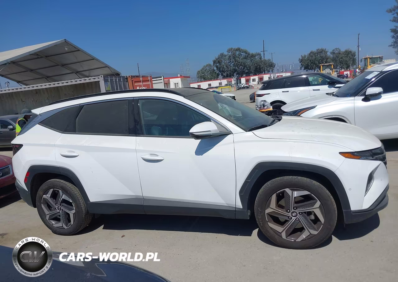 2023 Hyundai Tucson Limited VIN:5NMJECAEXPH268260 - 13