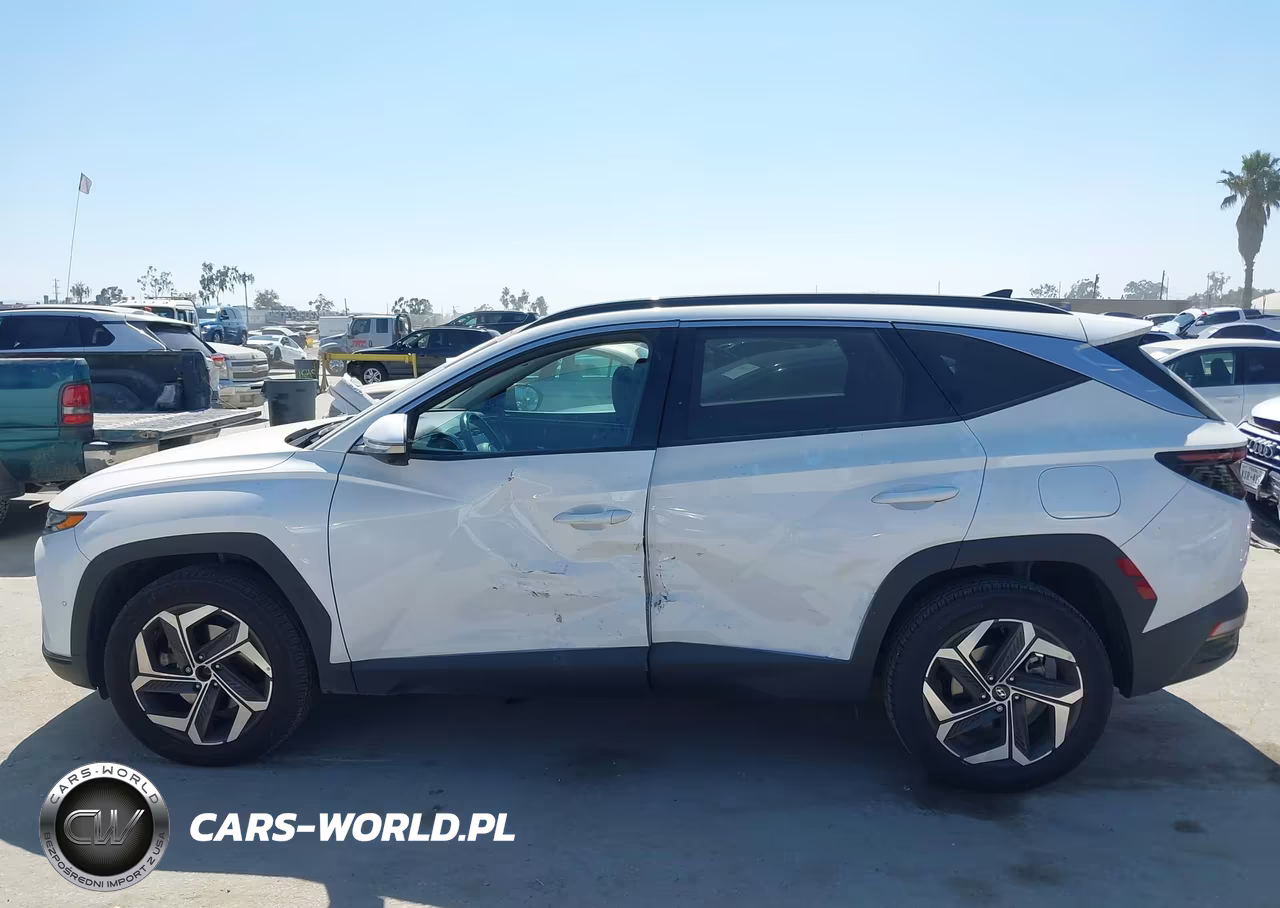 2023 Hyundai Tucson Limited VIN:5NMJECAEXPH268260 - 14