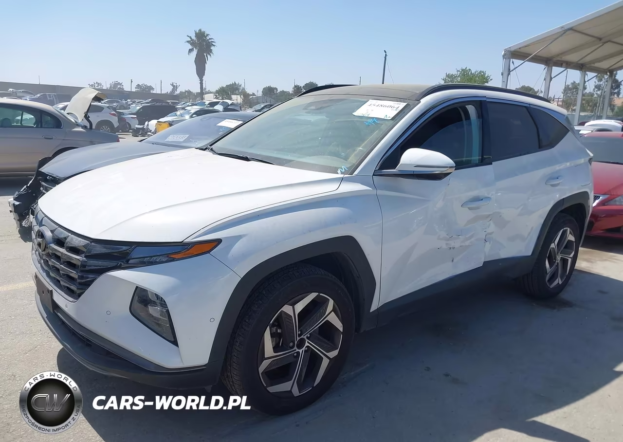 2023 Hyundai Tucson Limited VIN:5NMJECAEXPH268260 - 2