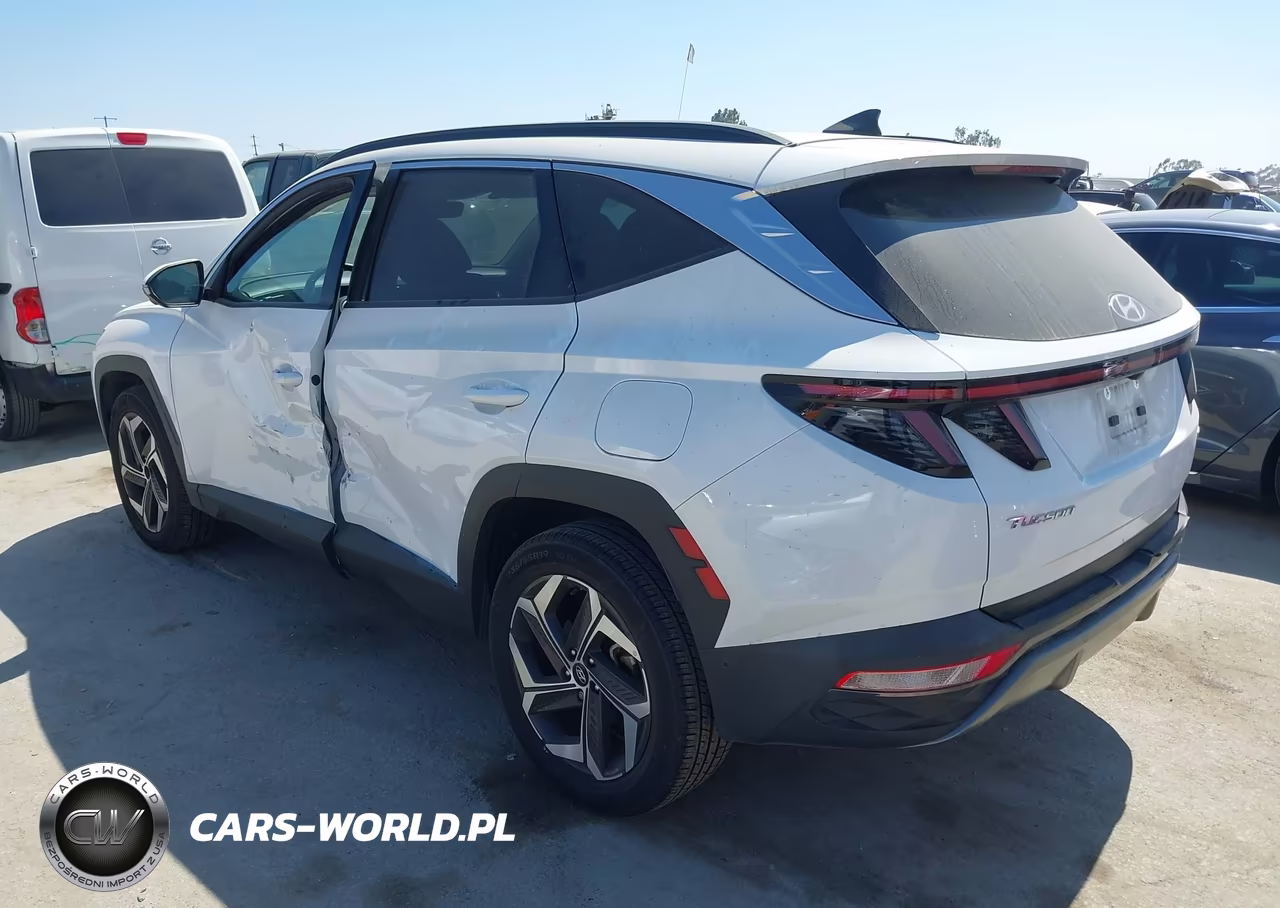 2023 Hyundai Tucson Limited VIN:5NMJECAEXPH268260 - 3