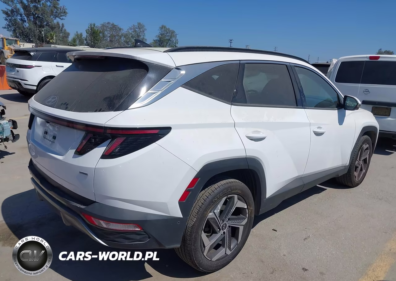 2023 Hyundai Tucson Limited VIN:5NMJECAEXPH268260 - 4
