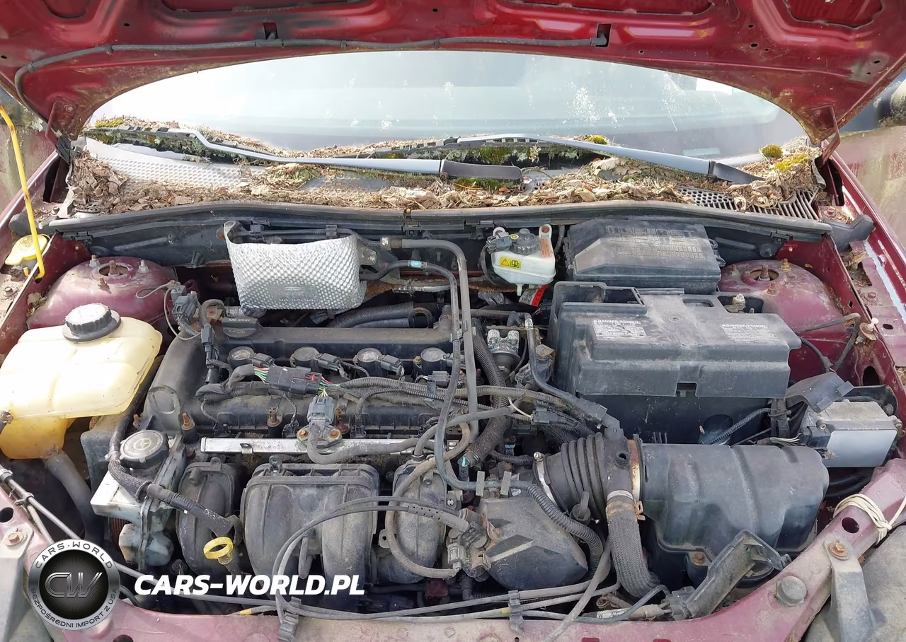 2006 Ford Focus Zx5 VIN:1FAHP37N66W239243 - 10