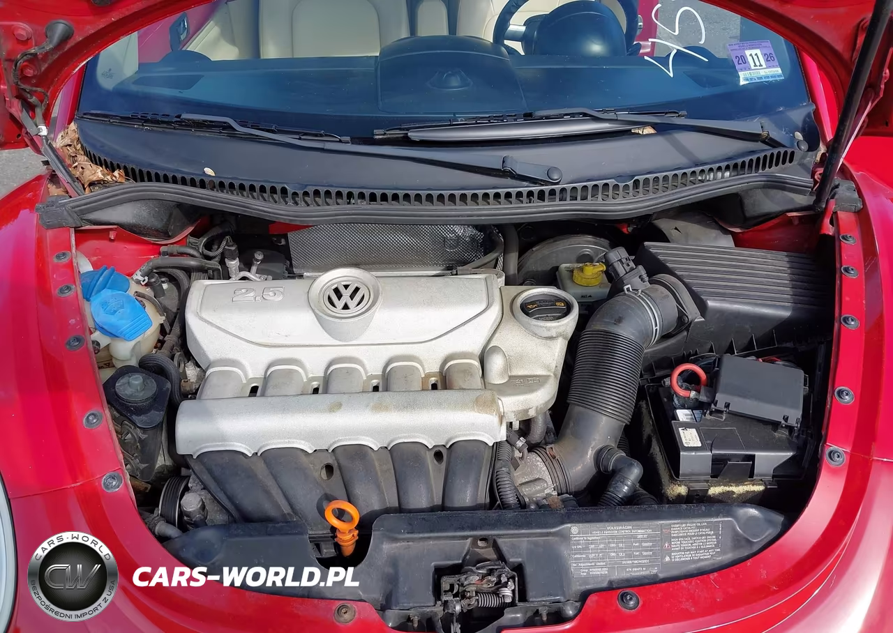 2009 Volkswagen New Beetle S VIN:3VWRF31Y89M403243 - 10