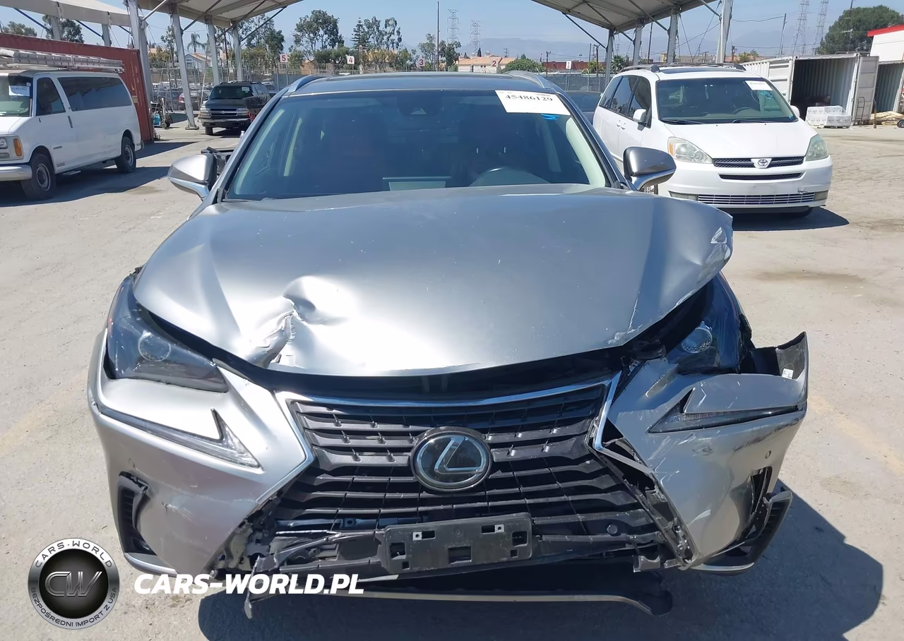 2020 Lexus Nx 300 VIN:JTJGARBZ5L5007476 - 12