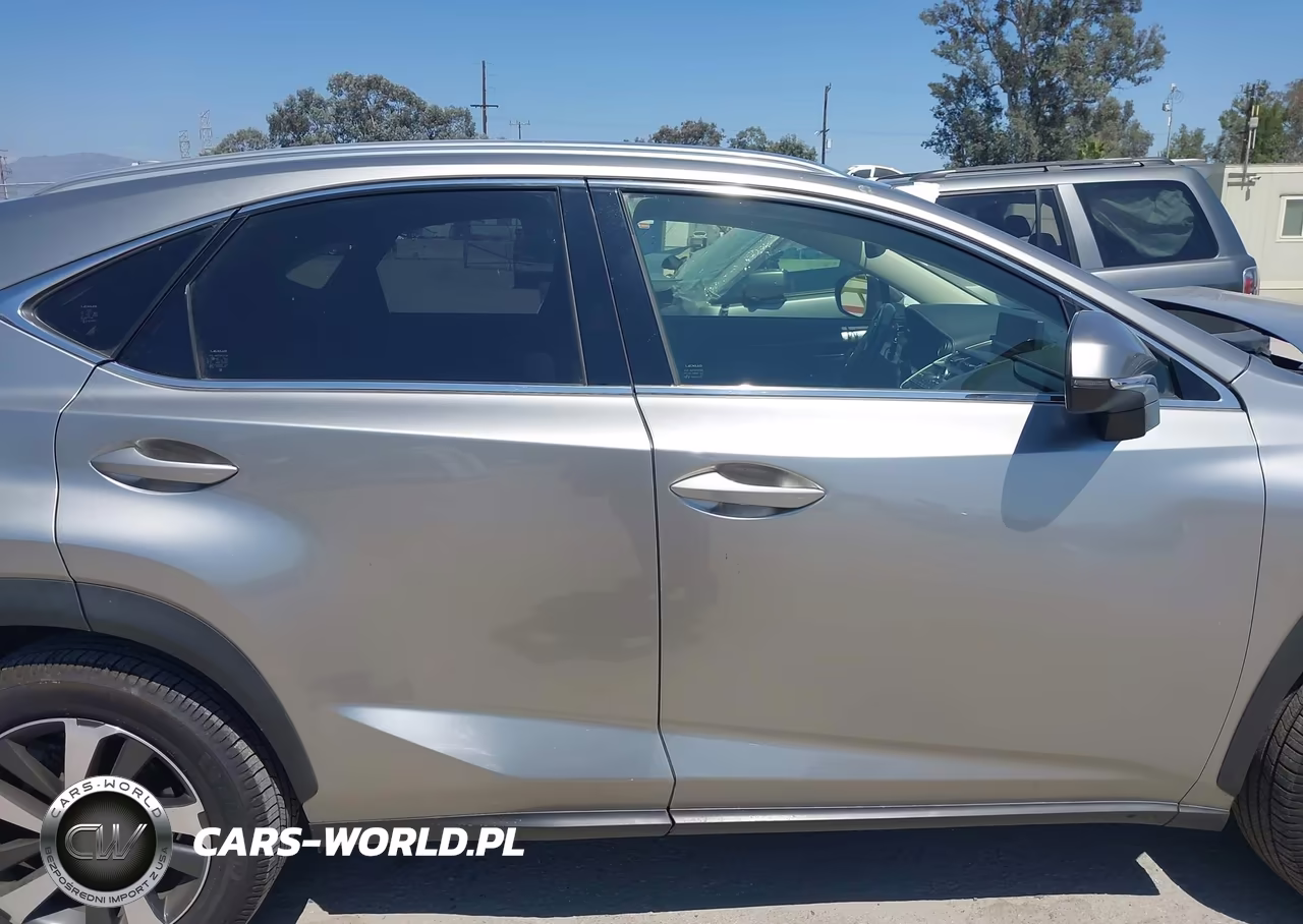 2020 Lexus Nx 300 VIN:JTJGARBZ5L5007476 - 13