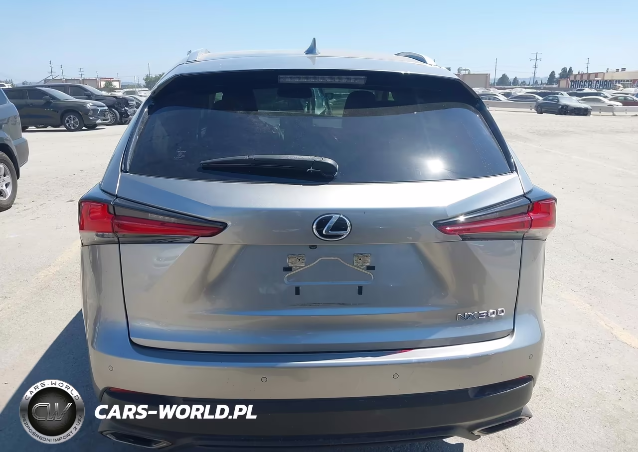 2020 Lexus Nx 300 VIN:JTJGARBZ5L5007476 - 16