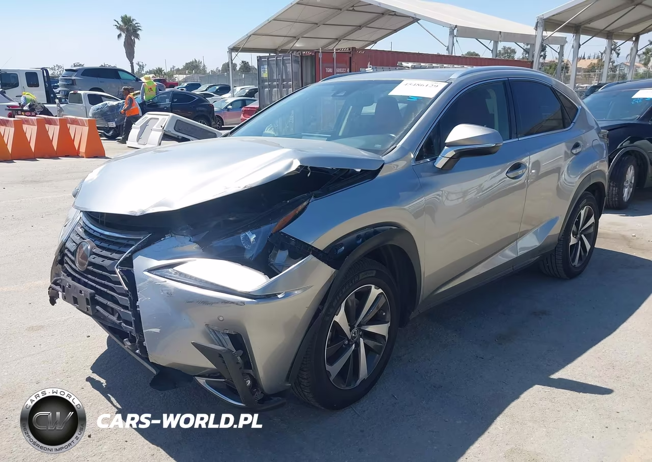 2020 Lexus Nx 300 VIN:JTJGARBZ5L5007476 - 2