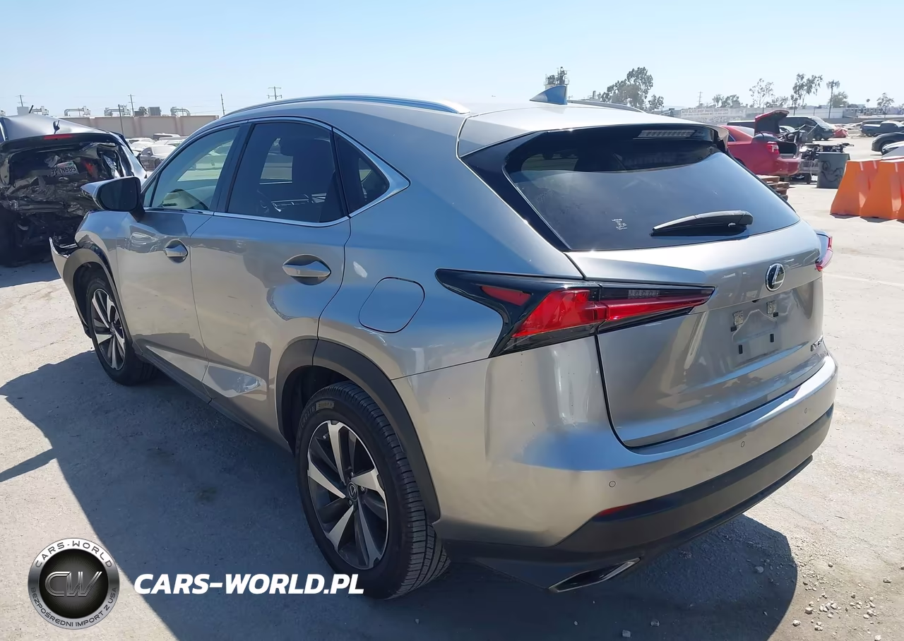 2020 Lexus Nx 300 VIN:JTJGARBZ5L5007476 - 3