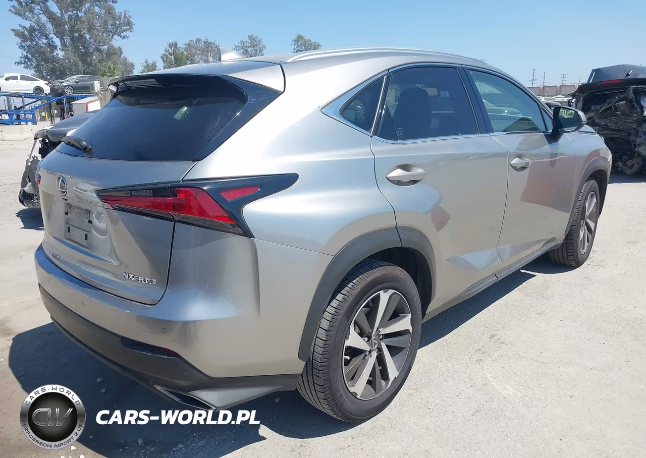 2020 Lexus Nx 300 VIN:JTJGARBZ5L5007476 - 4