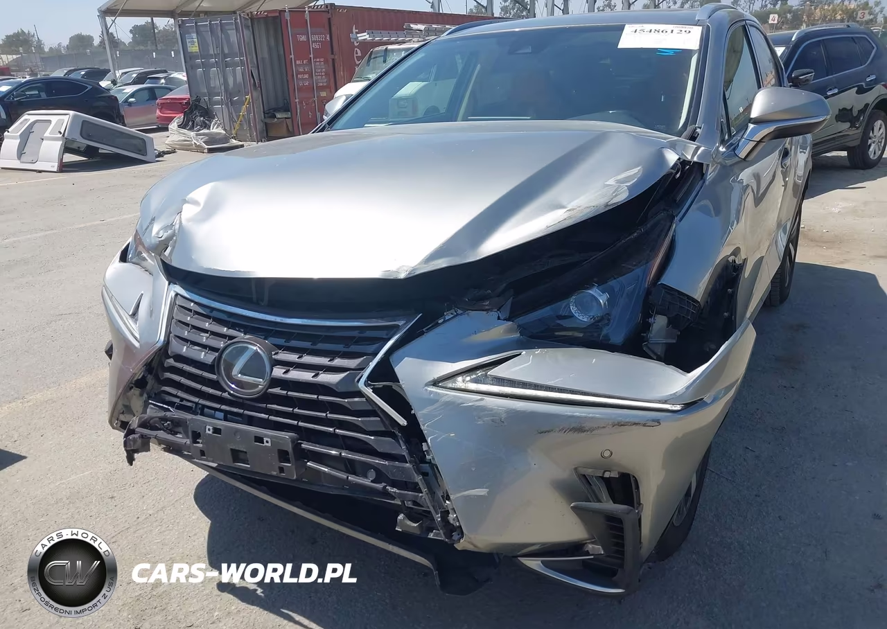 2020 Lexus Nx 300 VIN:JTJGARBZ5L5007476 - 6