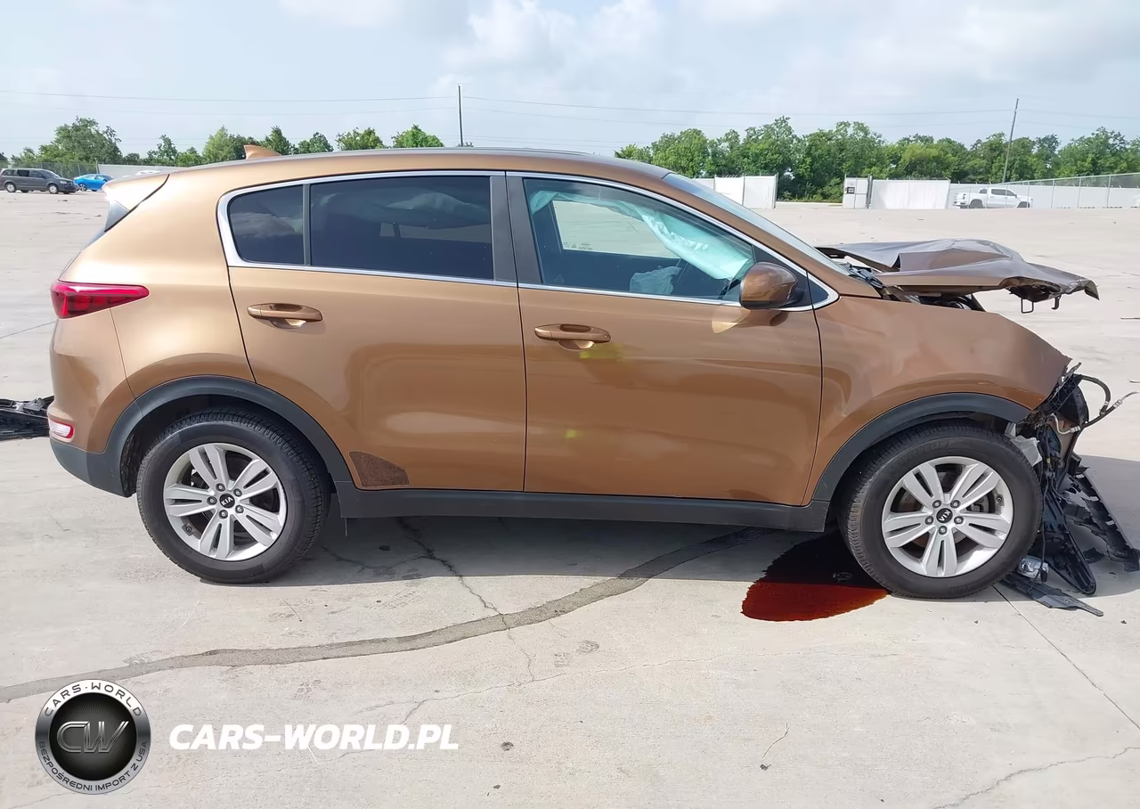 2017 Kia Sportage Lx VIN:KNDPM3ACXH7087874 - 13