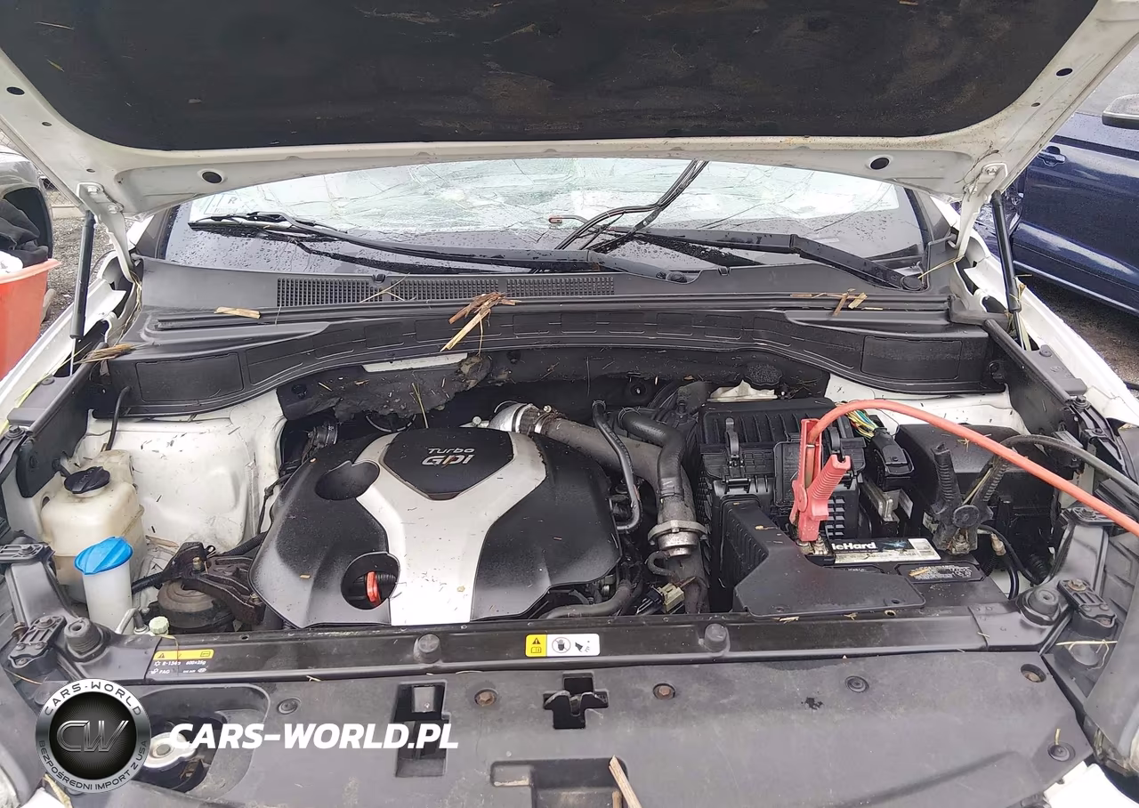 2014 Hyundai Santa Fe Sport 2.0L Turbo VIN:5XYZUDLA0EG221946 - 10