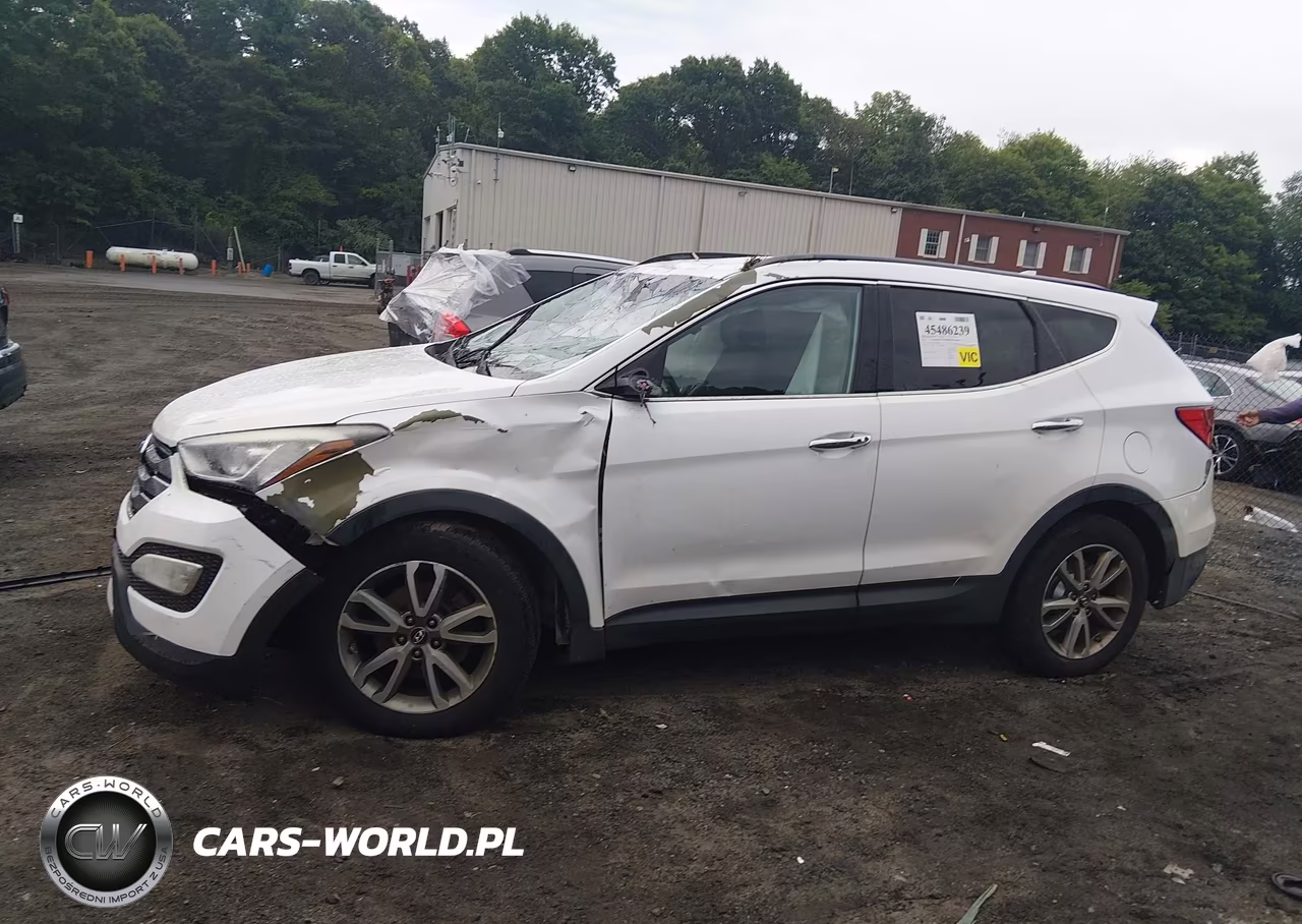 2014 Hyundai Santa Fe Sport 2.0L Turbo VIN:5XYZUDLA0EG221946 - 14