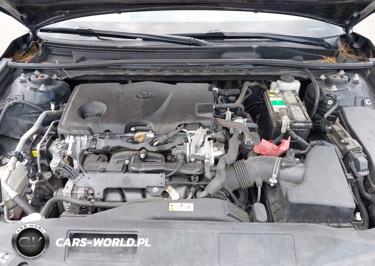 2019 Toyota Camry Se VIN:4T1B11HK3KU766698 - 10
