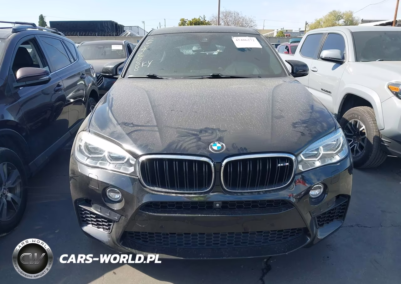 2018 BMW X6 M VIN:5YMKW8C58J0U72565 - 12