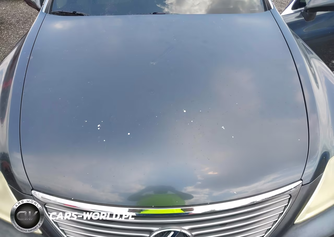 2008 Lexus Ls 460 L VIN:JTHGL46F685027953 - 10