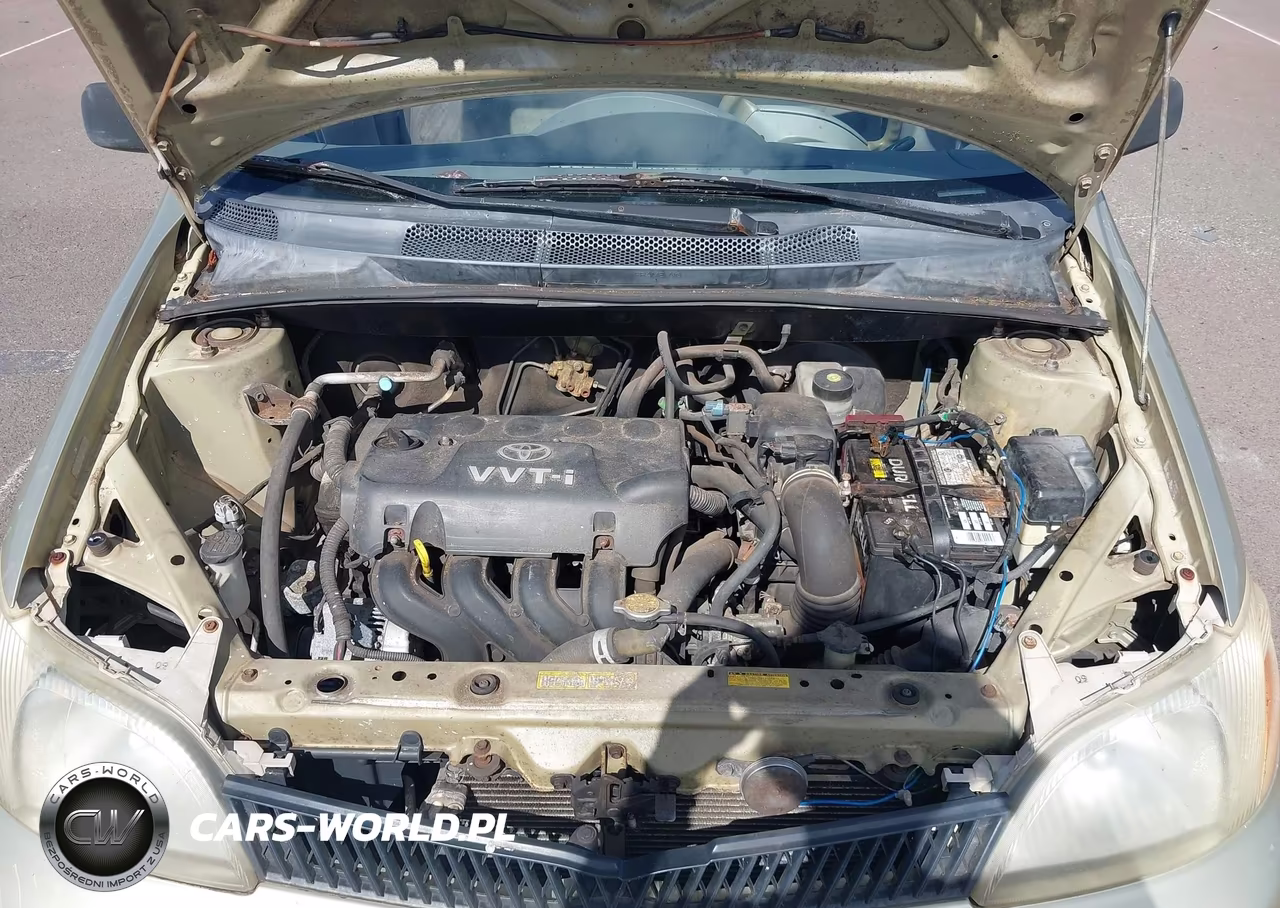 2000 Toyota Echo VIN:JTDBT1236Y0062916 - 10