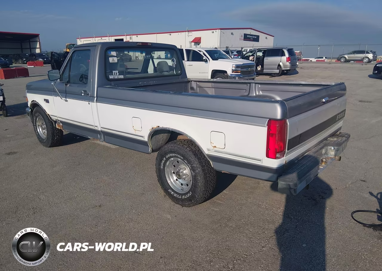 1995 Ford F150 VIN:1FTEF15NXSLA38092 - 3