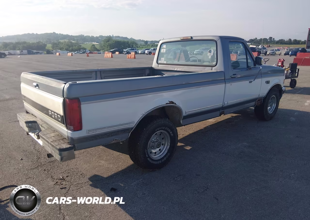 1995 Ford F150 VIN:1FTEF15NXSLA38092 - 4