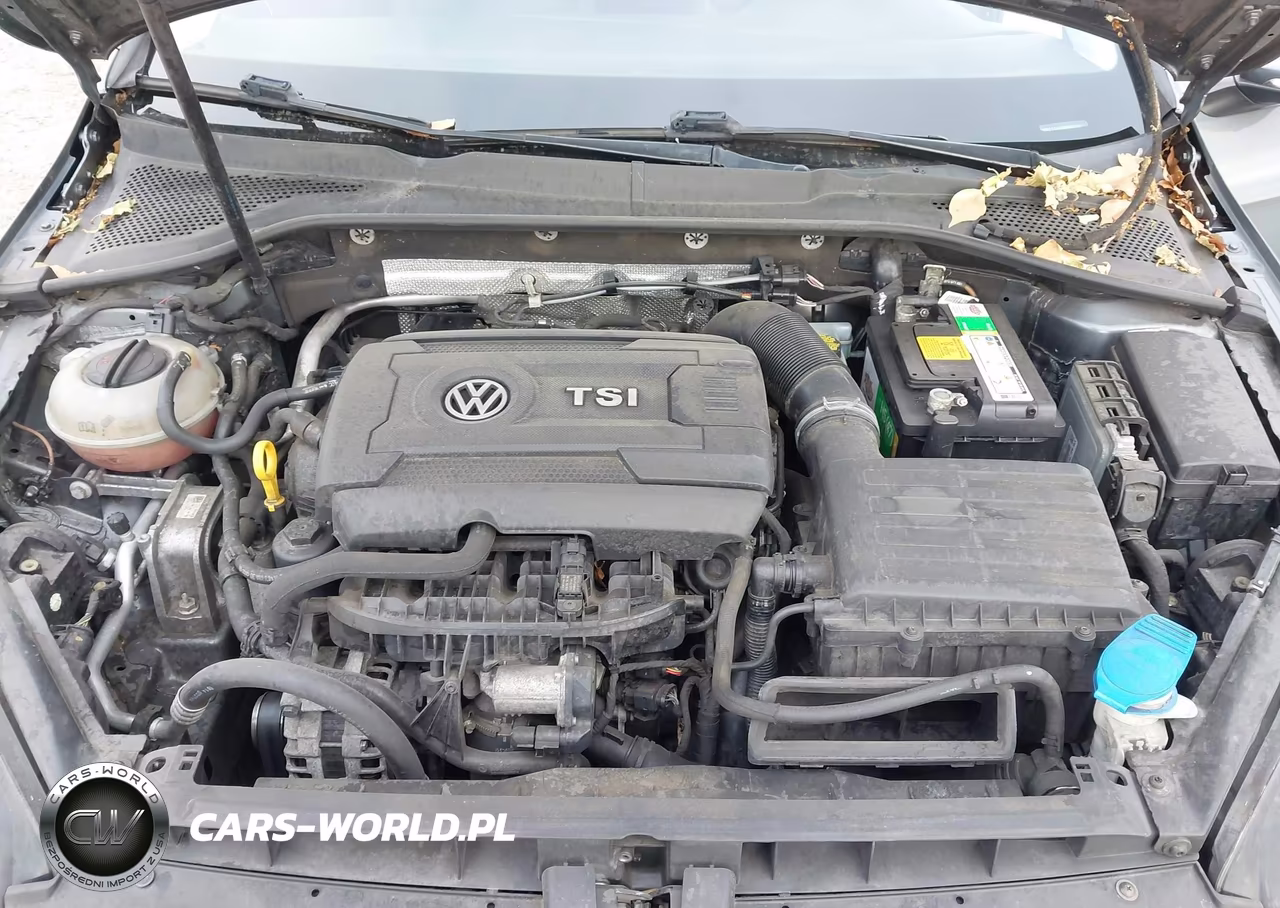2015 Volkswagen Golf Tsi S 4-Door VIN:3VW217AU0FM029811 - 10