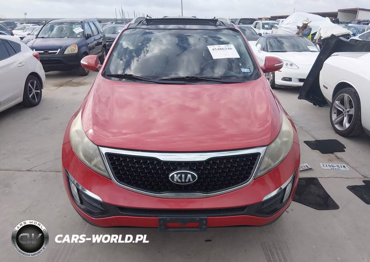 2014 Kia Sportage Ex VIN:KNDPC3AC0E7615579 - 12