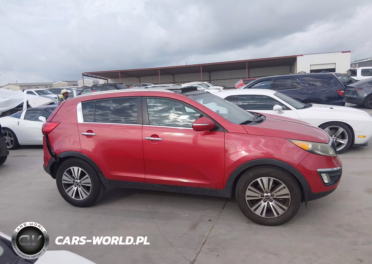 2014 Kia Sportage Ex VIN:KNDPC3AC0E7615579 - 13