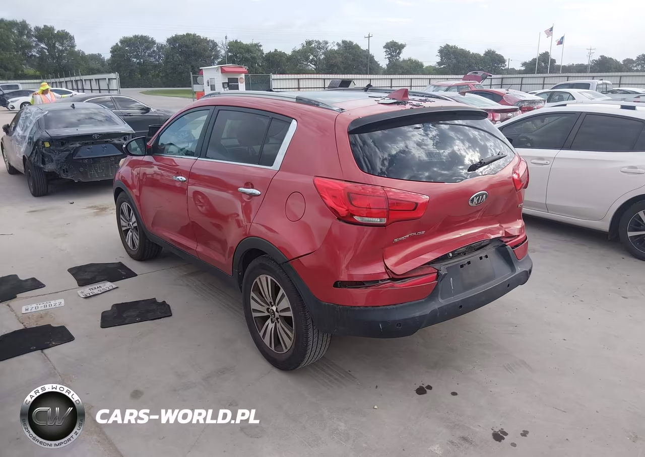 2014 Kia Sportage Ex VIN:KNDPC3AC0E7615579 - 3